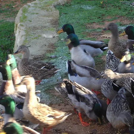 Ferienpark Complejo Turistico El Sur