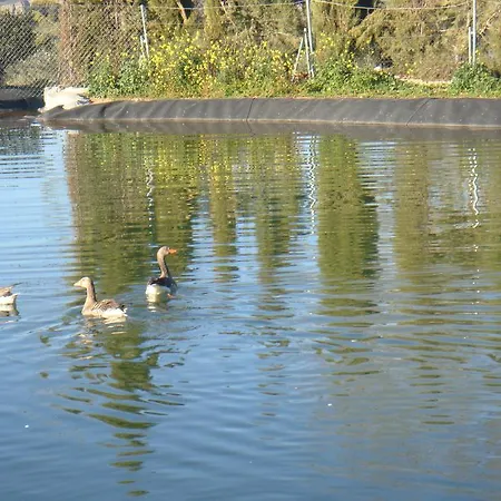 منتزه العطل Complejo Turistico El Sur روندا