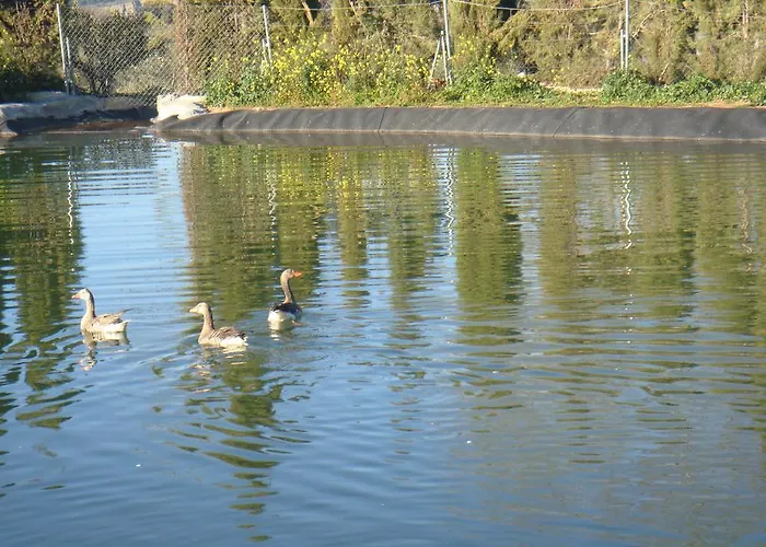 Tatil parkı Complejo Turistico El Sur Ronda