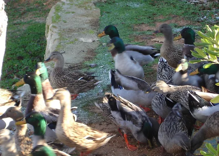 홀리데이파크 콤플레호 투리스티코 엘 수르